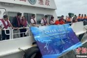 算命最准浙江今年计划放流种类海洋水生生物苗种超15亿单位