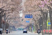 算命最准共建“花园城市” 北京这场议政会“百花齐放”
