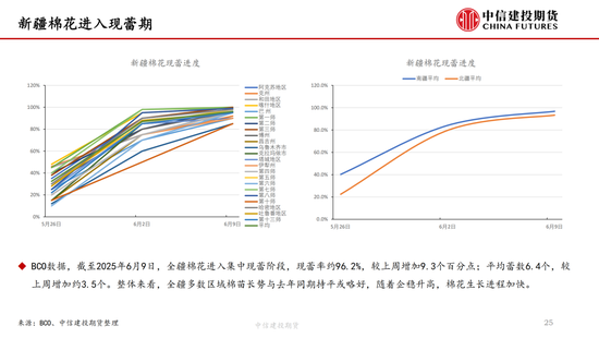 【棉花纺谈(🏼)】供应端阶段性缩量 疆棉基差坚挺